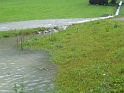 bild (36)